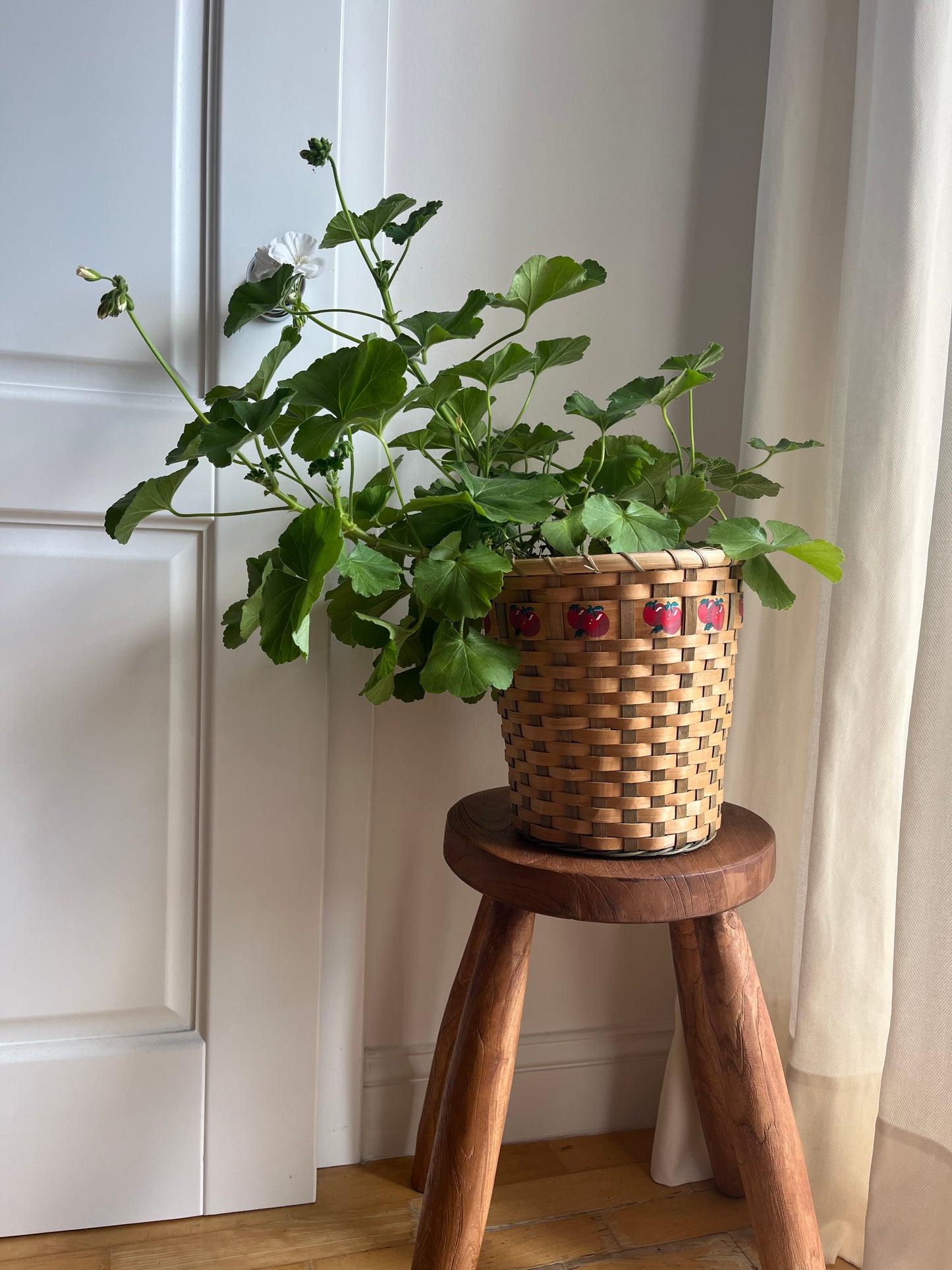 Waste Paper Basket